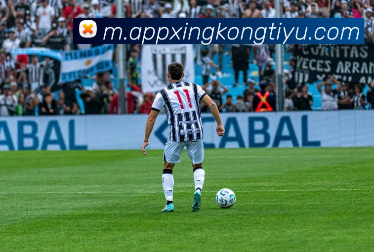 星空体育平台生态图